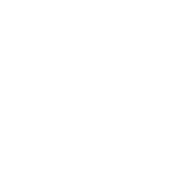 Play icon